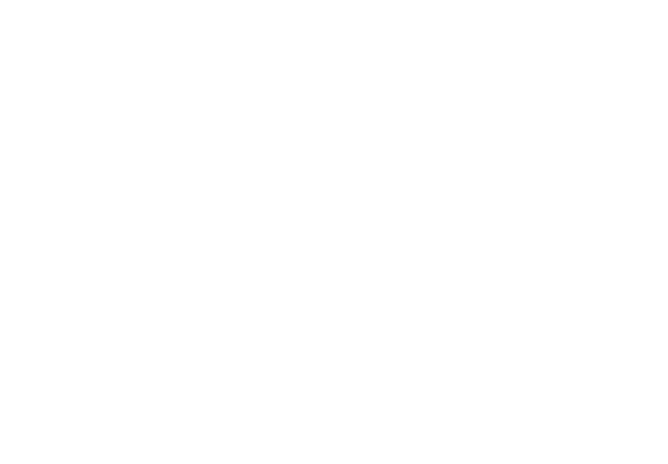LiveCourt Web System logo